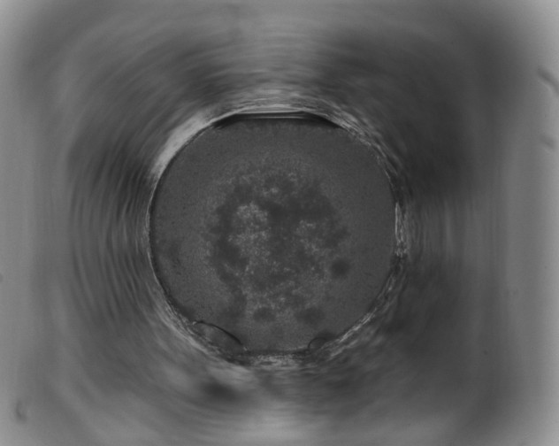 X0000099480099200805161144
