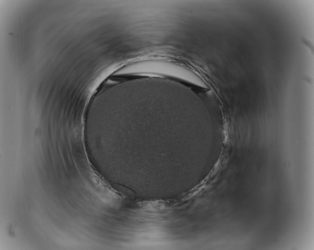 X0000099480100200805161144