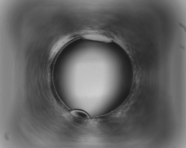 X0000099480103200805161144