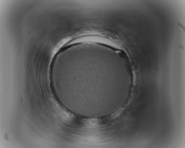 X0000099480104200805161144