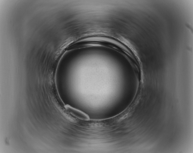 X0000099480105200805161144