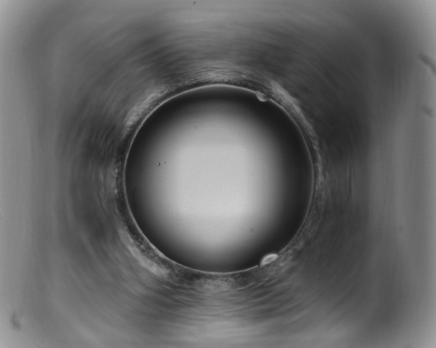 X0000099480106200805161144