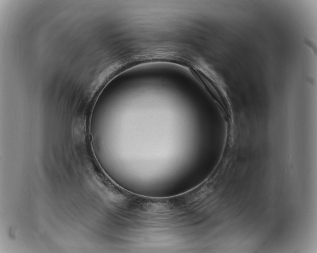 X0000099480107200805161144