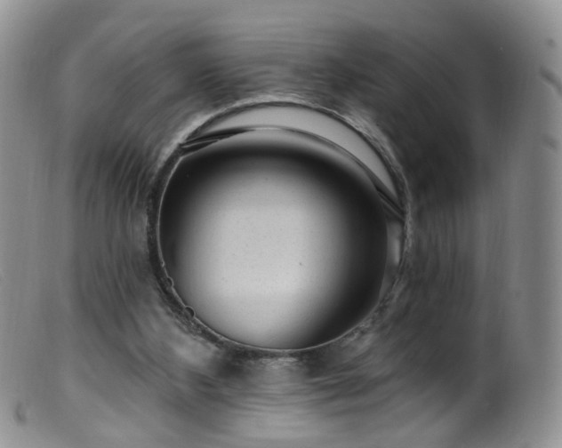 X0000099480108200805161144