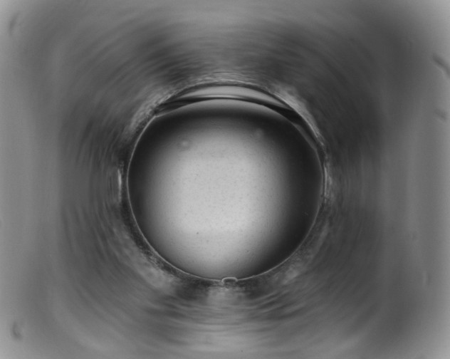 X0000099480109200805161144