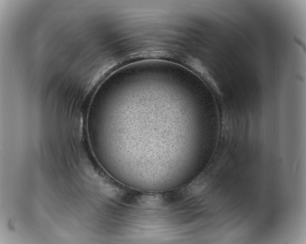 X0000099480110200805161144