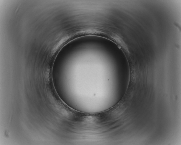 X0000099480111200805161144
