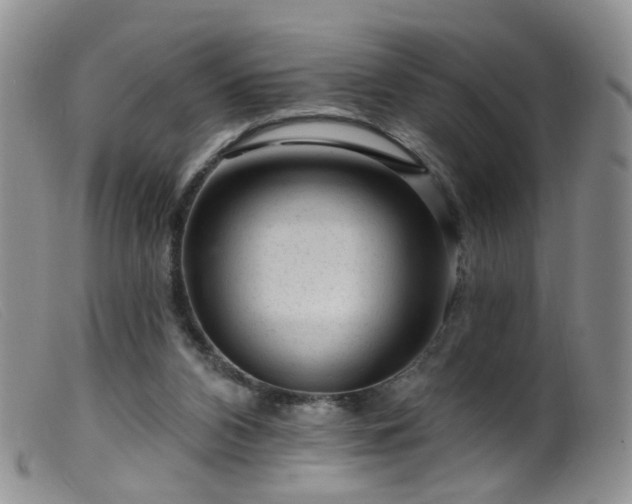 X0000099480112200805161144