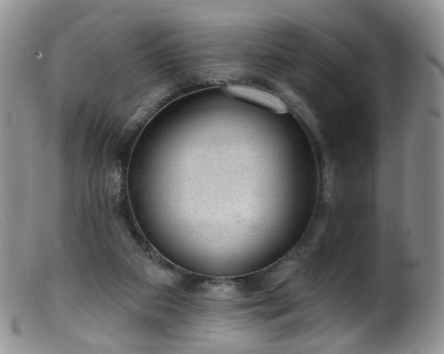 X0000099480113200805161144