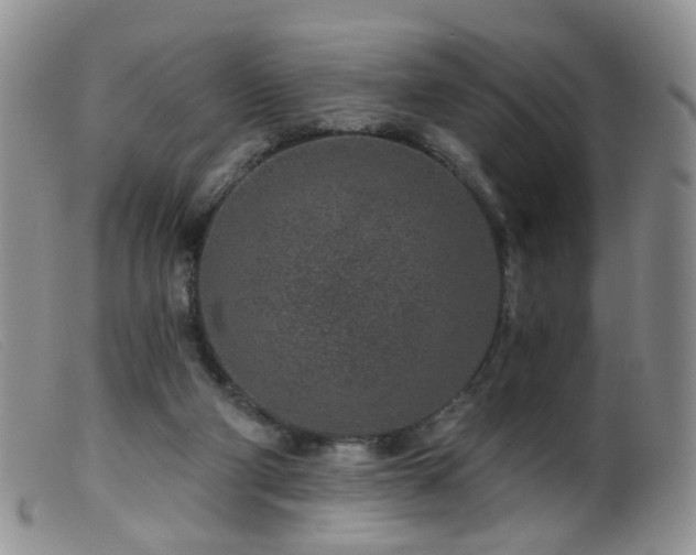 X0000099480114200805161144