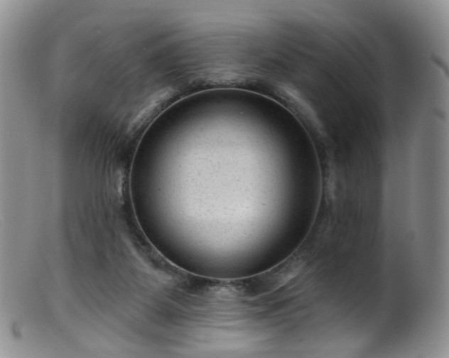 X0000099480115200805161144