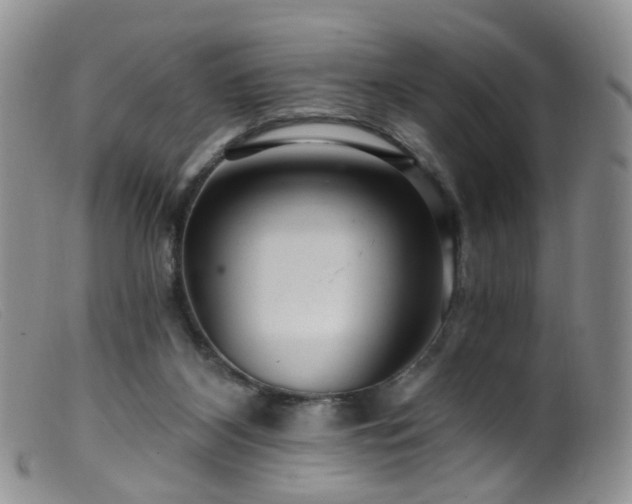 X0000099480116200805161144
