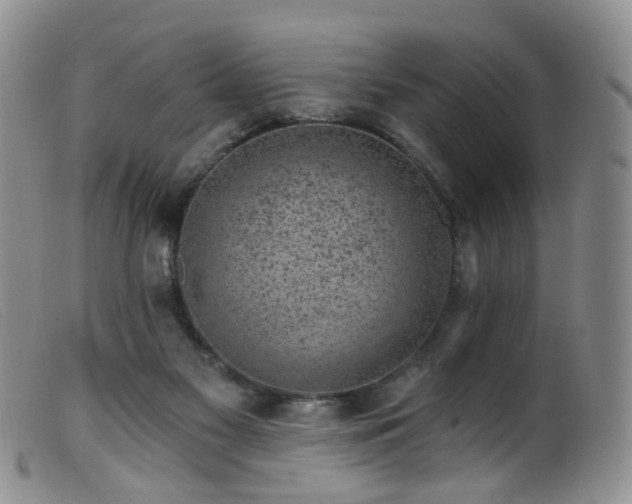 X0000099480117200805161144