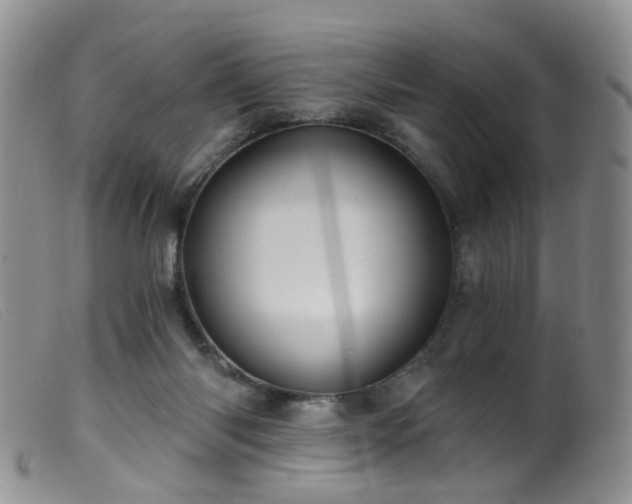 X0000099480118200805161144