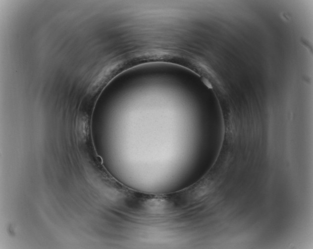 X0000099480119200805161144