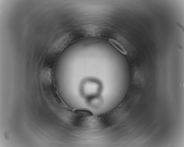 X0000099480121200805161144
