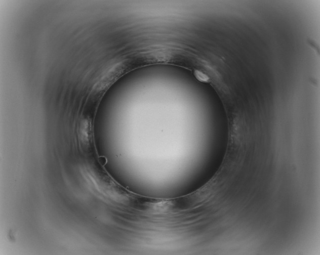X0000099480122200805161144
