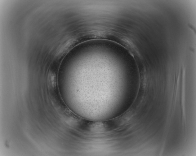 X0000099480123200805161144