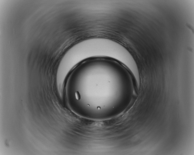 X0000099480124200805161144