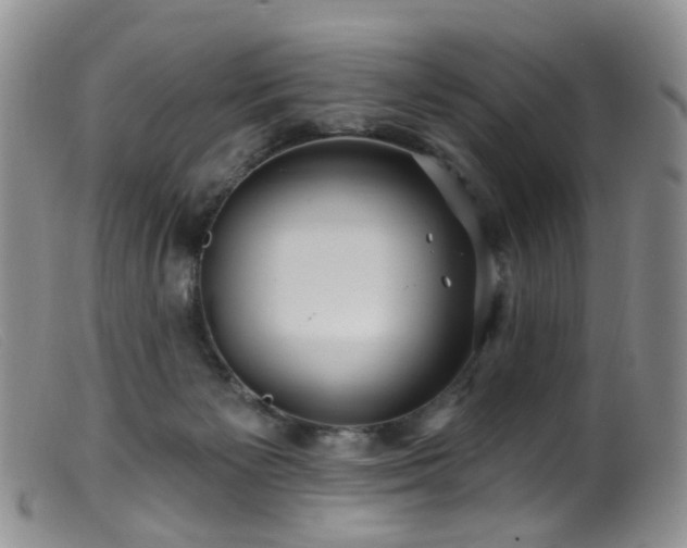 X0000099480125200805161144