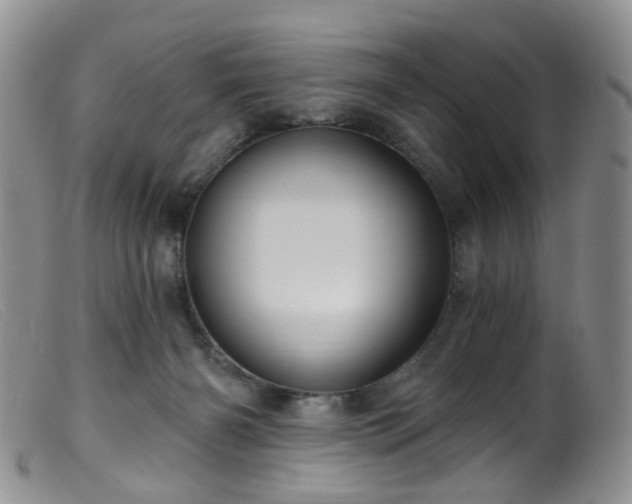 X0000099480126200805161144