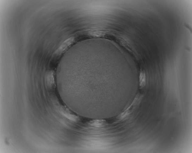 X0000099480128200805161144