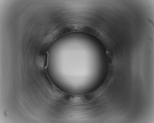 X0000099480129200805161144