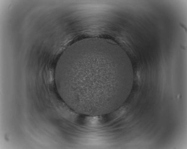 X0000099480131200805161144