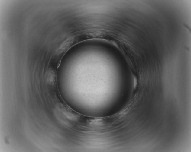 X0000099480132200805161144