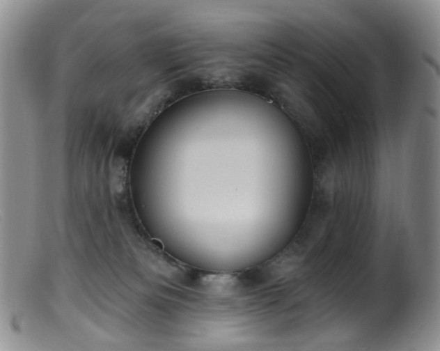 X0000099480133200805161144