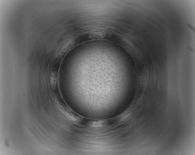 X0000099480134200805161144
