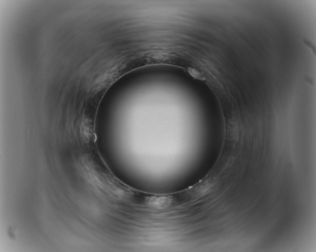 X0000099480135200805161144