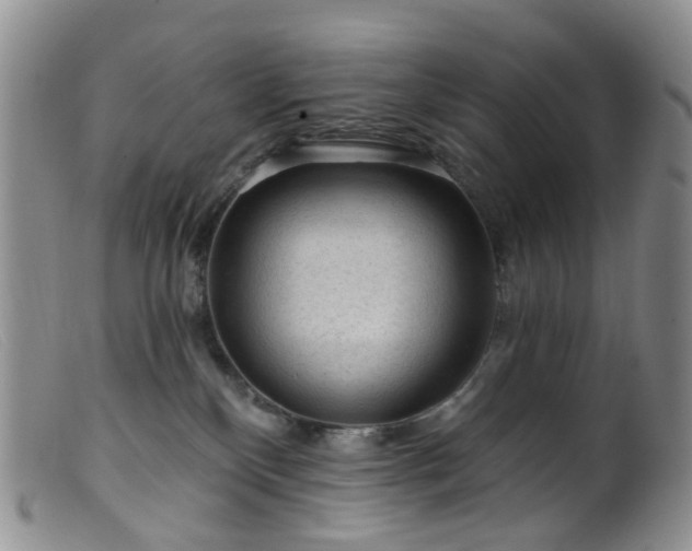 X0000099480136200805161144
