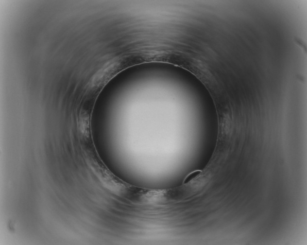 X0000099480138200805161143