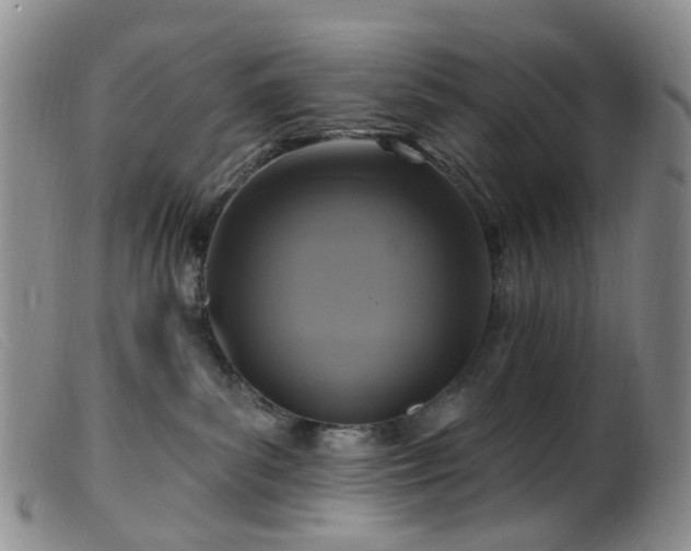X0000099480139200805161143
