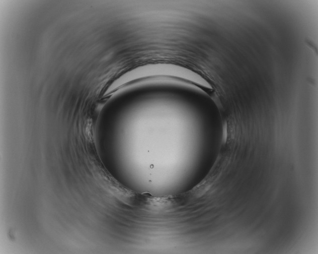 X0000099480141200805161143