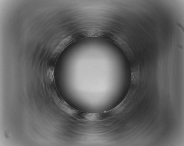 X0000099480142200805161143