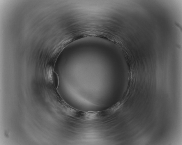 X0000099480143200805161143
