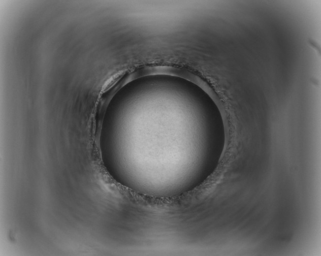 X0000099480144200805161143