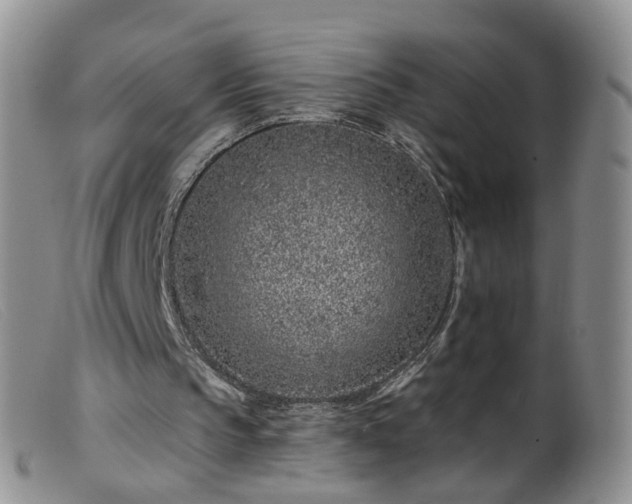 X0000099480145200805161143