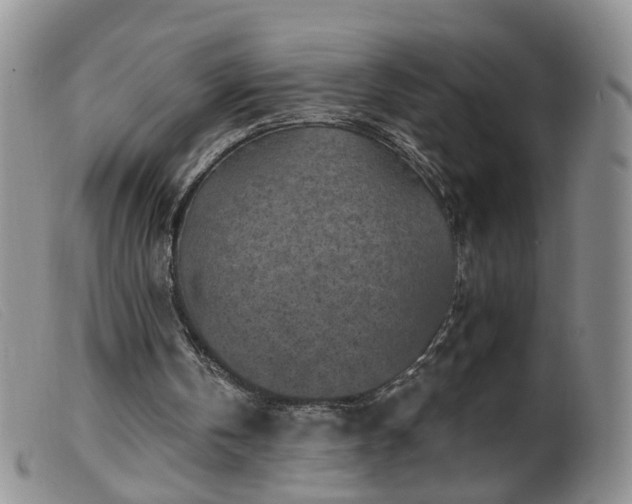 X0000099480146200805161143