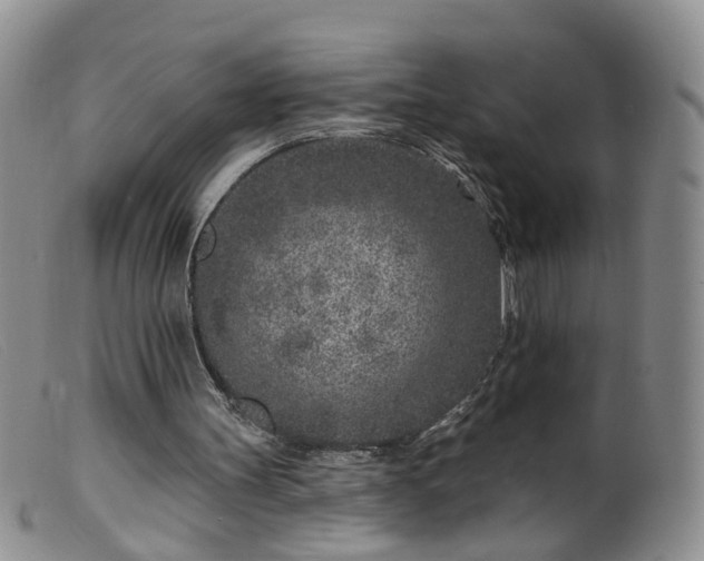 X0000099480147200805161143