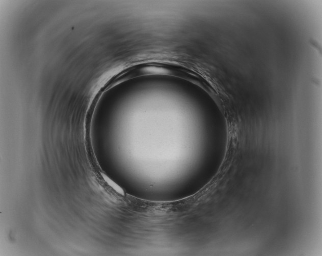 X0000099480148200805161143