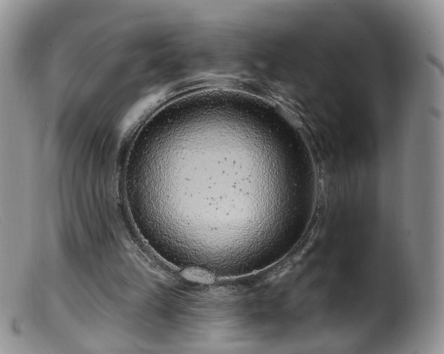 X0000099480149200805161143
