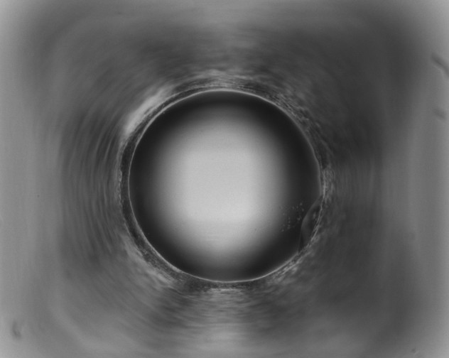 X0000099480150200805161143