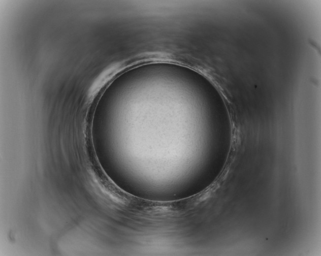 X0000099480151200805161143