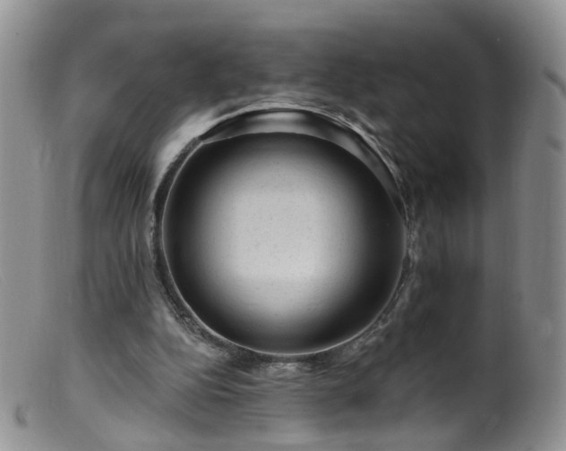 X0000099480152200805161143