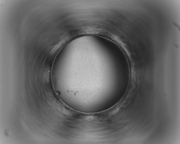 X0000099480153200805161143