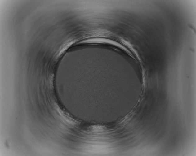 X0000099480154200805161143
