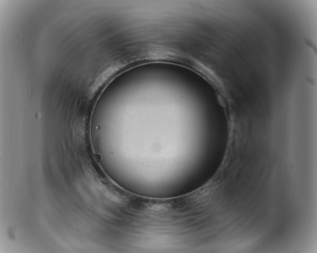 X0000099480155200805161143